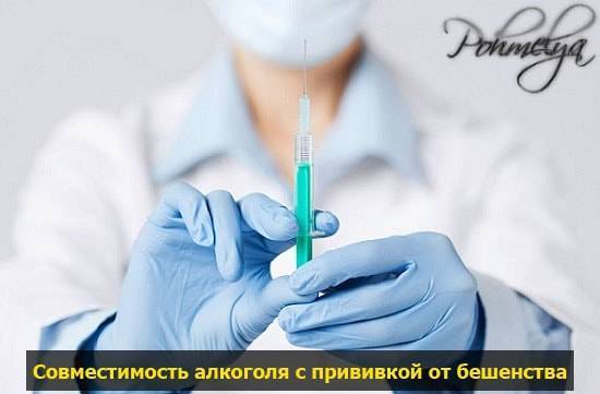 Прививка от бешенства и алкоголь последствия