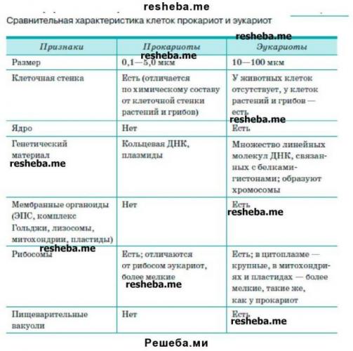 Роль бактерий в природе и жизни человека
