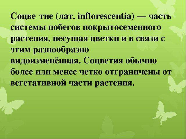 Бактерии – самые древнейшие организмы на земле