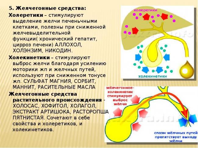 Продукты для желчного пузыря при застое желчи