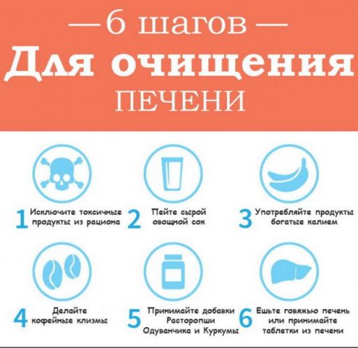 Препараты гепатопротекторы. докопаться до сути