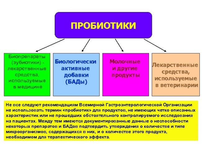 Пробиотики и пребиотики - список препаратов, отличия, эффекты, показания к применению