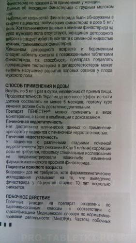 Пенестер