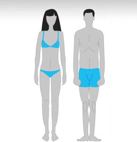 Как качаться эктоморфу? тренировки и питание для набора мышечной массы