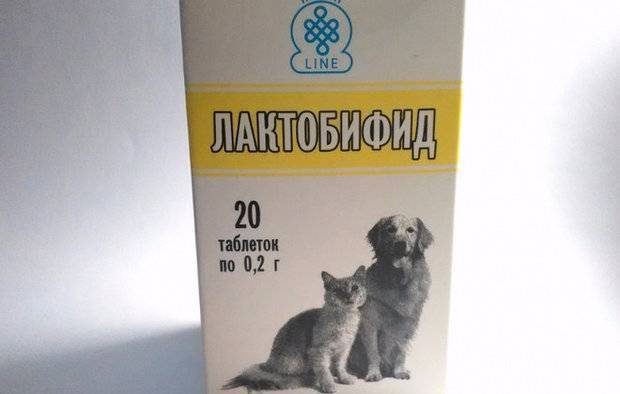 Какие пробиотики давать собаке топ 5 популярных препаратов