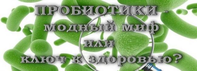 Пробиотики и пребиотики - список препаратов, отличия, эффекты, показания к применению