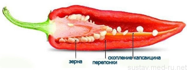 Всё, что важно знать про гель, крем и мазь с мелоксикамом. только правдивая информация для качественного и быстрого лечения