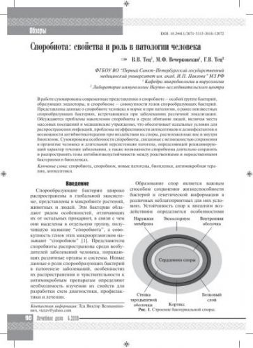 Кто они – бактерии и что представляют собой самые многочисленные жители нашей планеты?
