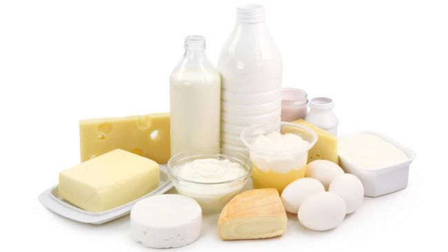 Кисломолочные продукты в домашних условиях - кефир, бактерии, закваска, кисломолочные продукты
