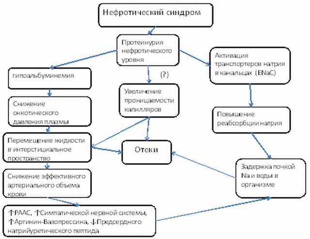 Нефротический синдром у детей: особенности развития и тактика лечения