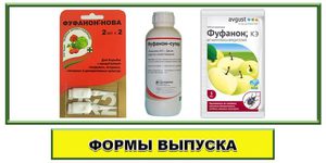 «фуфанон