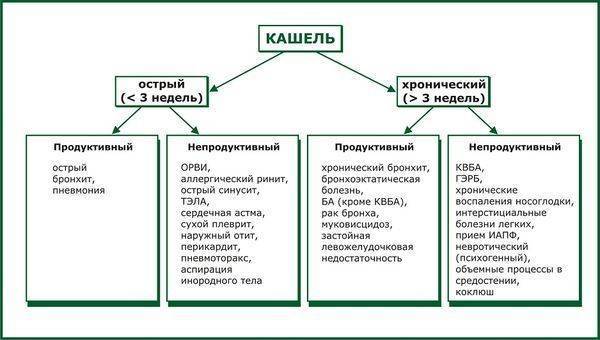 Что лучше: «амброгексал» или «ацц»? – meds.is