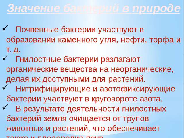 Классификация организмов. вирусы. бактерии. грибы. лишайники.