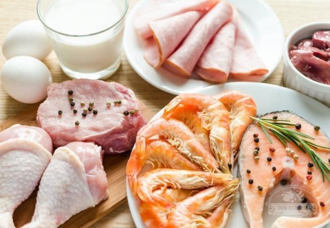 Плюсы и минусы высокобелковой диеты