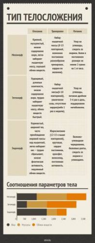 Питание для эндоморфа