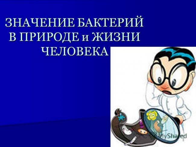 Лекарство от вирусов и болезнетворных бактерий – здоровый иммунитет