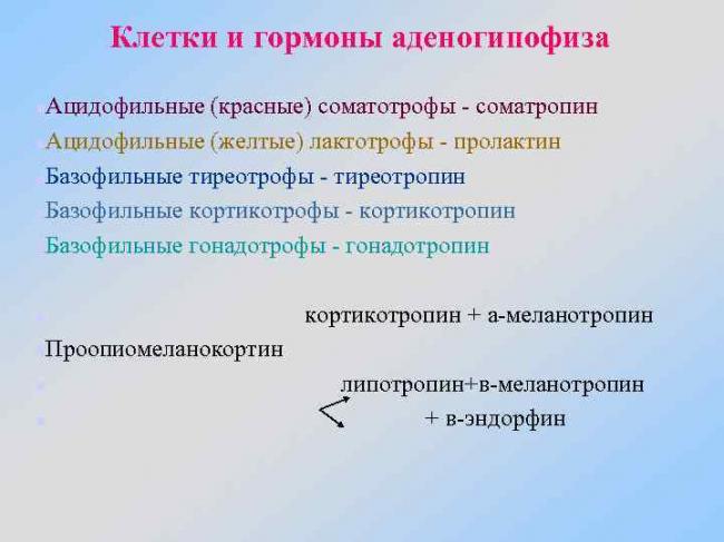 - кортикоидной функции - биохимия