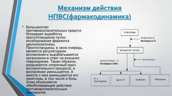 Дают ли больничный при остеохондрозе и на сколько дней? дают ли больничный при остеохондрозе шейного отдела и на сколько