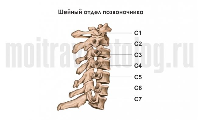Компрессионный перелом позвоночника: лечение и реабилитация