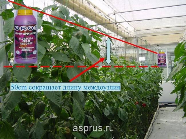 Введите код, указанный на картинке
