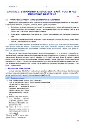 Бактерии: размножение, способы, рост, факторы роста. фото
