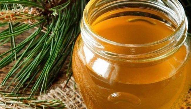 Сосновые почки от кашля детям