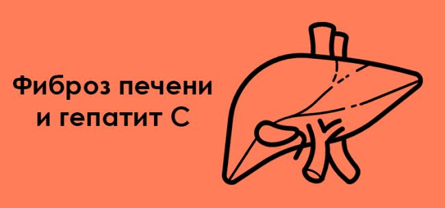Фиброз печени: описание заболевания, причины возникновения, симптомы и лечение