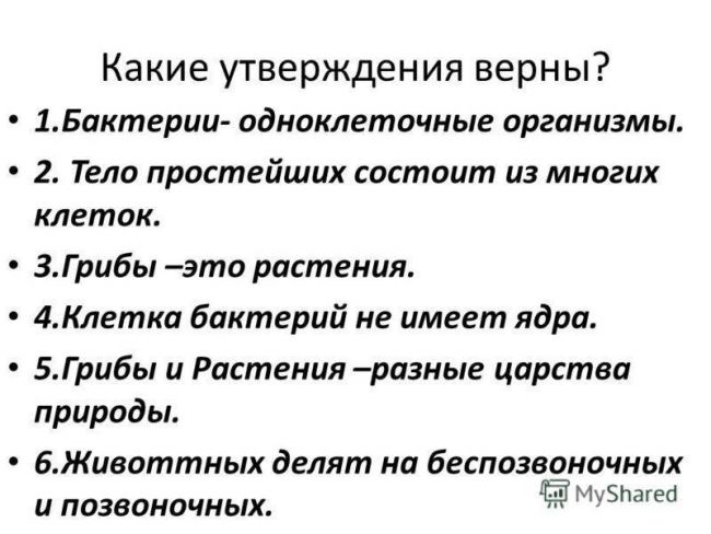 Презентация по окружающему миру на тему " царство живой природы. бактерии" ( 2 класс)
