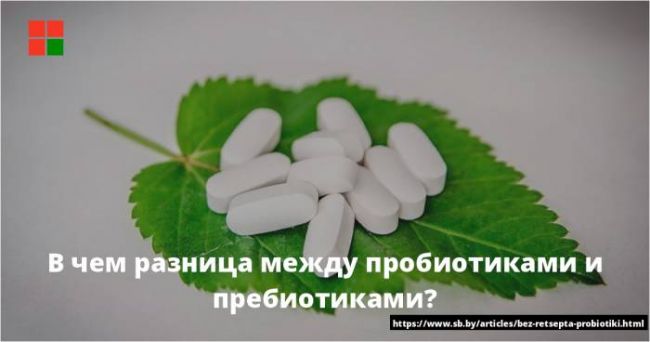 Чем пробиотики отличаются от пребиотиков