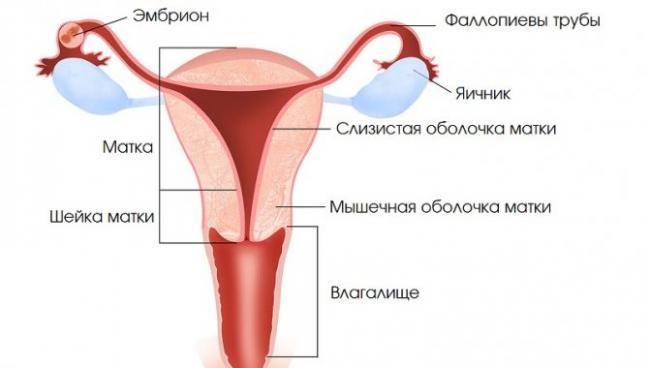 Внематочная беременность
