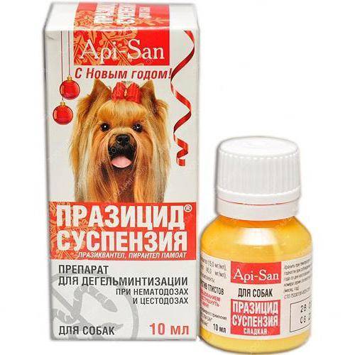 Празицид-суспензия Плюс для кошек