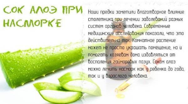 Выбор капель для носа при насморке