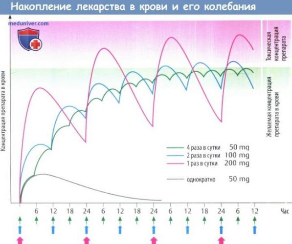 Фендивия