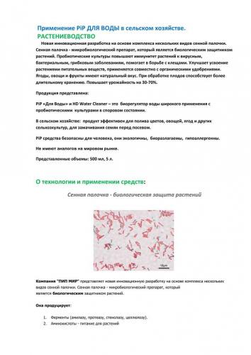 Сенная палочка для человека польза и вред