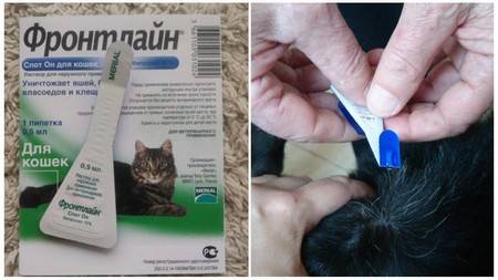 Инструкция по применению Фронтлайн капли