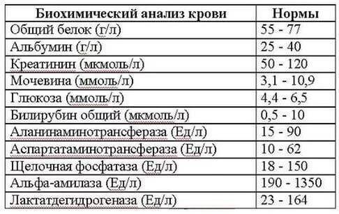 Как понять что у тебя пневмония как узнать воспаление легких