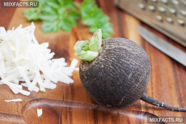 Зеленая и черная редька с медом от кашля