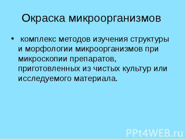 Значение и использование тинкториальных свойств микроорганизмов