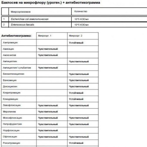 Escherichia coli в моче — диагностика, причины появления