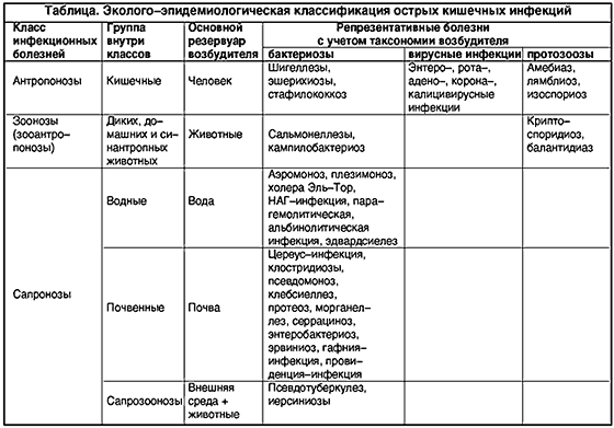 Кишечная инфекция – симптомы, лечение, профилактика у взрослых