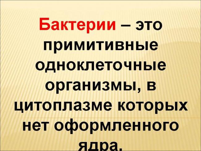 В чем заключаются особенности, строение и размножение бактерий