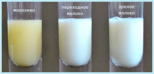 Что такое искусственный пассивный или активный и естественный приобретенный или врожденный иммунитет?