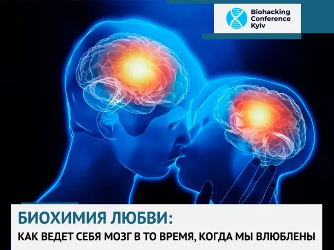 Антидиуретический гормон — википедия