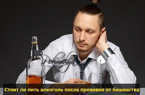Можно ли пить после прививки?