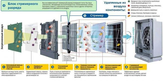 Очиститель воздуха для аллергиков и астматиков: как правильно выбрать подходящее устройство