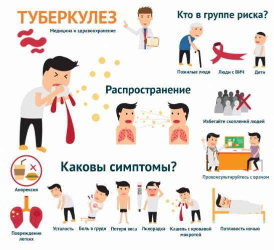 Причина мокроты: в горле и бронхах, при кашле и без кашля, зеленой, желтой, густой