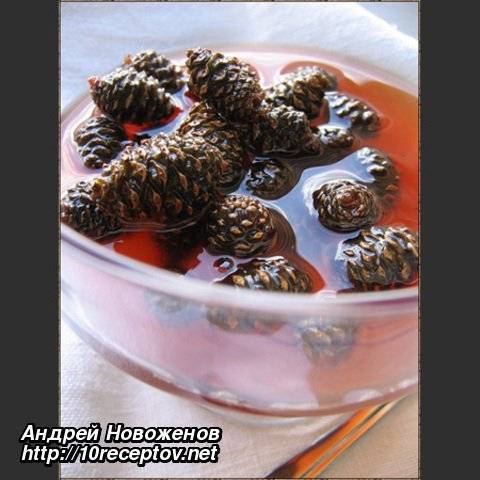 Сосновые почки от кашля при бронхите