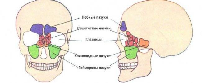 Что нужно знать до и после септопластики