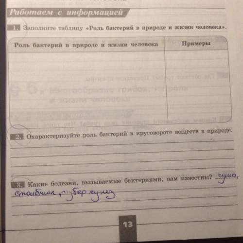 Бактерии и человек