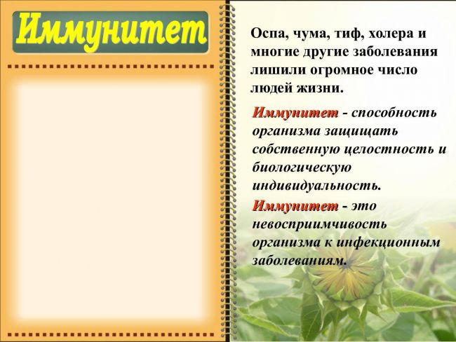 Иммунитет человека: активный и пассивный, естественный и искусственный, введение и создание